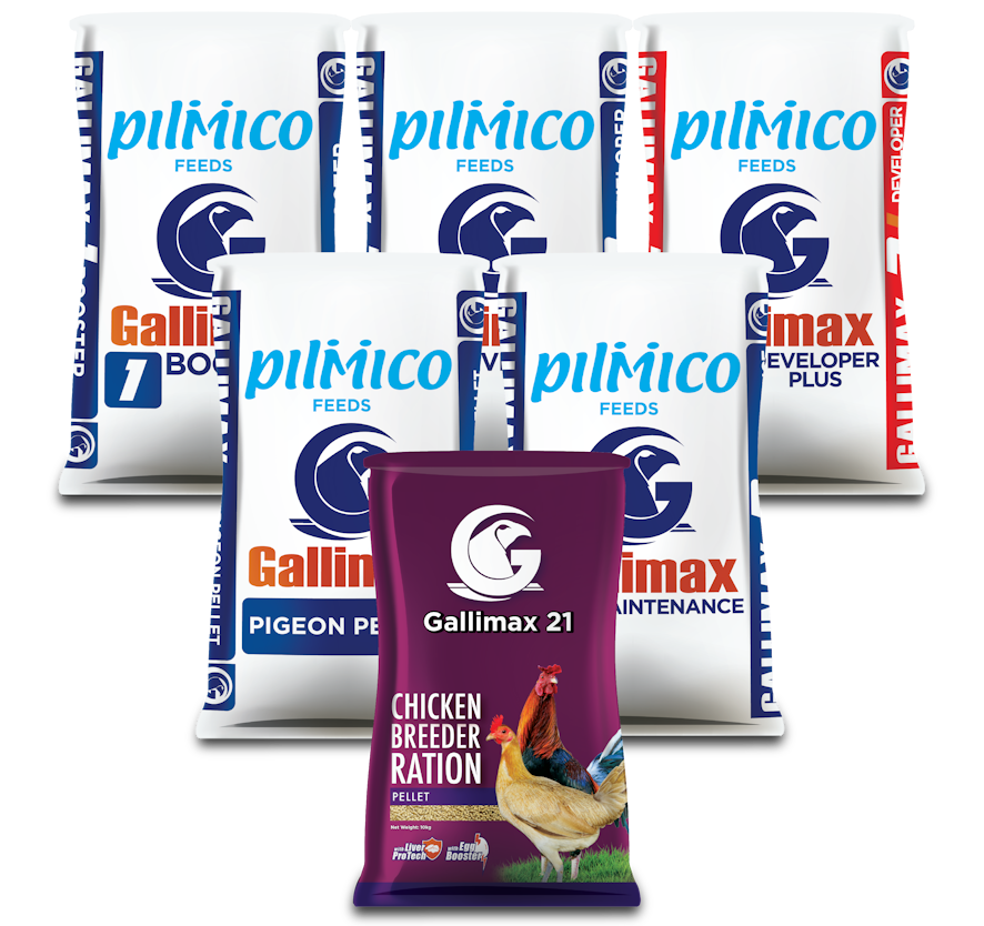 Salto Gallimax Products