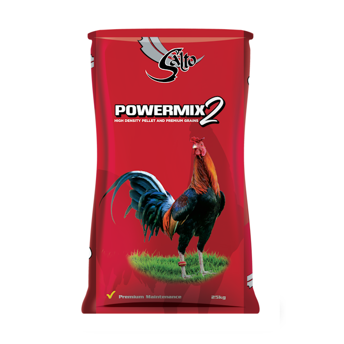 Powermix 2