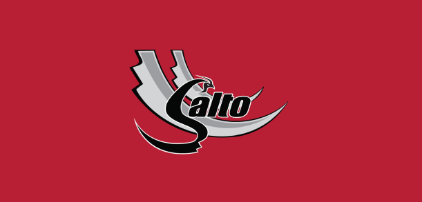 Salto